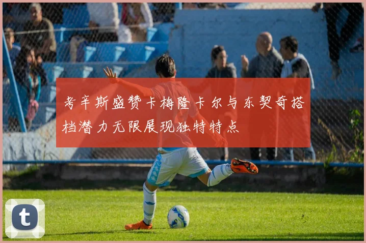 考辛斯盛赞卡梅隆卡尔与东契奇搭档潜力无限展现独特特点