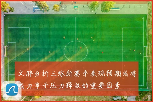文胖分析三球新赛季表现预期或将成为华子压力释放的重要因素